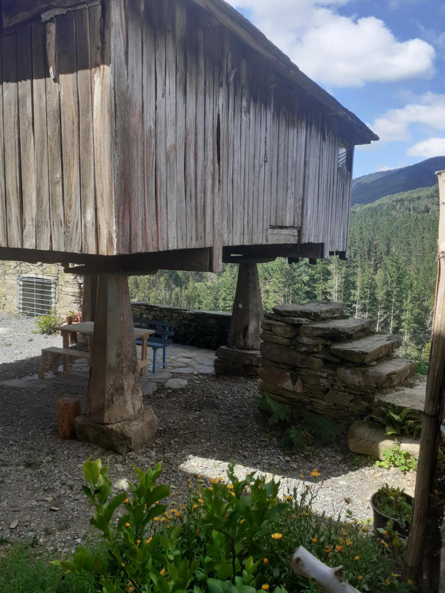 Sons Do Eo Apartamentos Turisticos Baleira Екстериор снимка